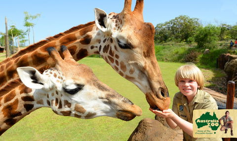 Australia Zoo - Accommodation Australia 4