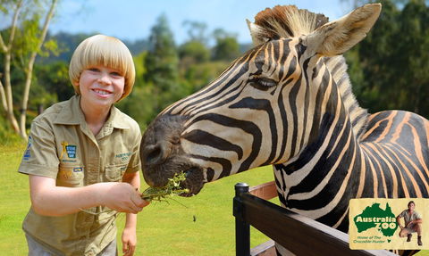 Australia Zoo - Accommodation Australia 5