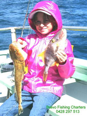 Bravo Fishing Charters - Accommodation Australia 5