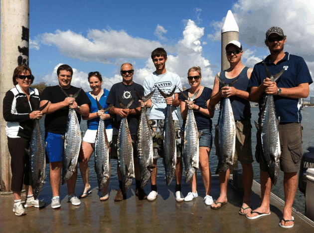 Gold Coast Mc QLD Local Tourism