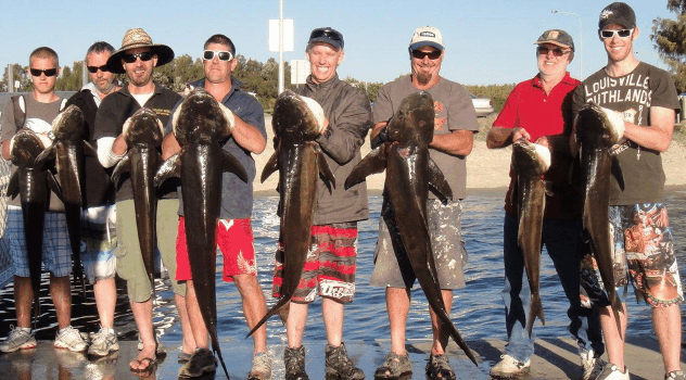BKs Gold Coast Fishing Charters - Bed n Breakfasts 1