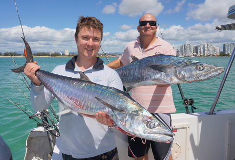 BKs Gold Coast Fishing Charters - Bed n Breakfasts 6