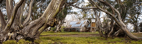 High Country Scenic Tours - Local Tourism