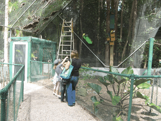 Bellingham Maze - Accommodation Australia 7