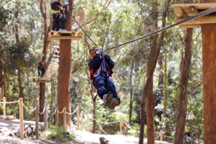 Currumbin Wildlife Sanctuary - Local Tourism 11