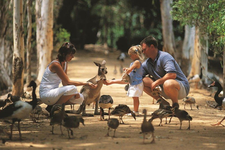  Local Tourism