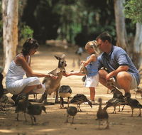 Billabong Sanctuary - Local Tourism