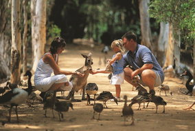 Book Townsville QLD Attractions Local Tourism Local Tourism