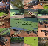 The Malcolm Douglas Crocodile Park - Accommodation Australia