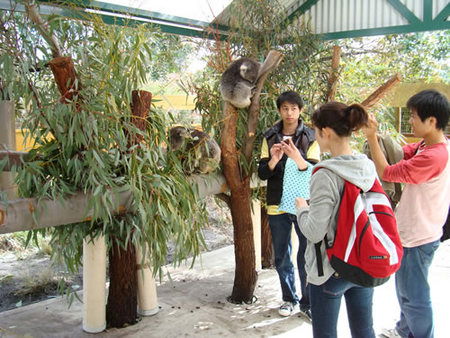 Caversham Wildlife Park - Accommodation Australia 4