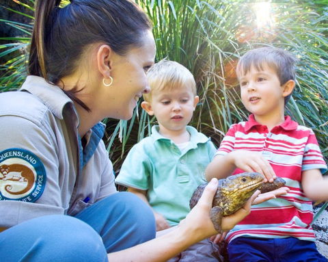 David Fleay Wildlife Park - Local Tourism 3