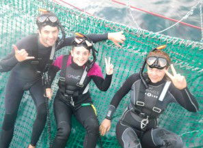 Dolphin Swim Australia - Accommodation Australia 7