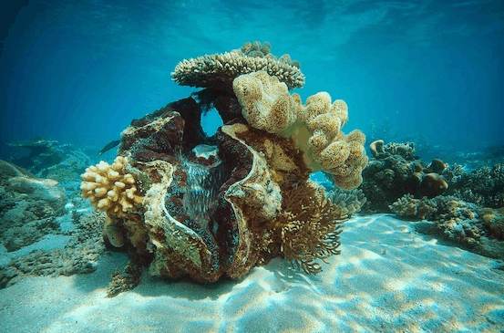 Big Cat Green Island Reef Cruises - Accommodation Australia 3