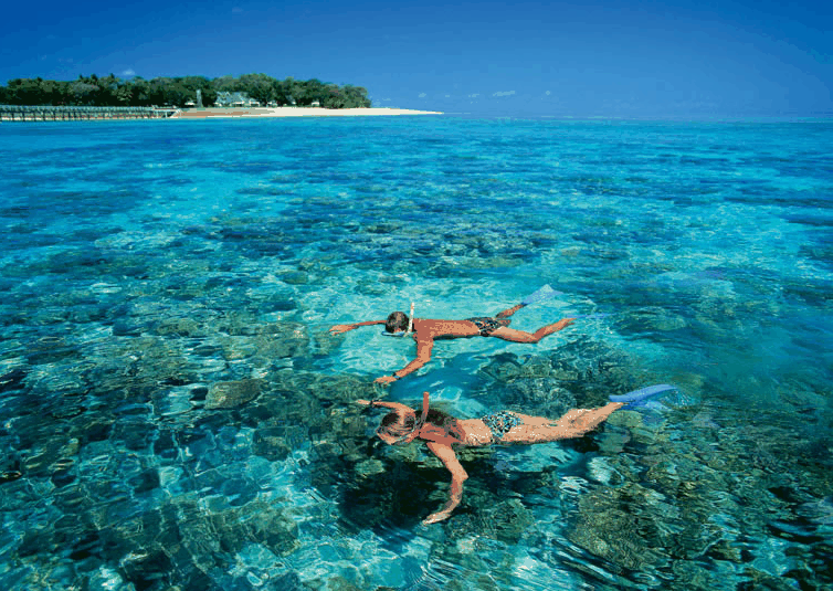 Big Cat Green Island Reef Cruises - Accommodation Australia 4