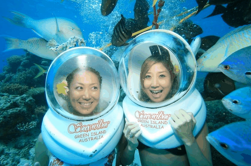 Big Cat Green Island Reef Cruises - thumb 5