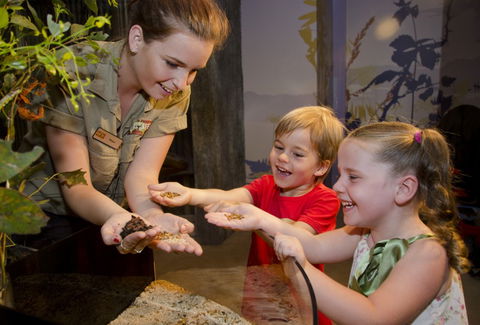 WILD LIFE Sydney Zoo - Accommodation Australia 1