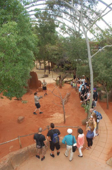 WILD LIFE Sydney Zoo - Accommodation Australia 2