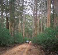 Boranup Drive - Local Tourism