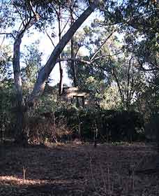 Ghost House Walk Trail, Yanchep National Park - Australia Shopping 0