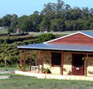 Vineyard 28 - Local Tourism