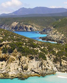  Local Tourism