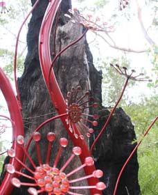 Boorara Brook WA Bed n Breakfasts