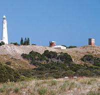 Wadjemup Lighthouse - Local Tourism