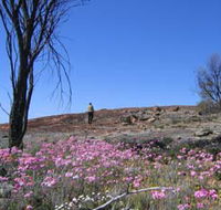 Talgomine Reserve - Local Tourism