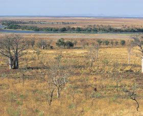 Marglu Billabong - Local Tourism 0