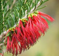 Ethel Daw Scenic Drive - Local Tourism