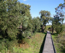 Kepwari Trails Wetland Wonderland - Accommodation Australia 0