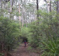 Margaret River Rails Trail - Local Tourism