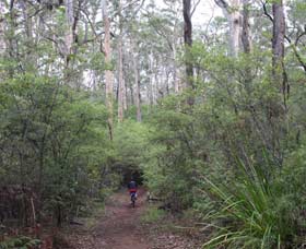 Margaret River Rails Trail - Bed n Breakfasts 0