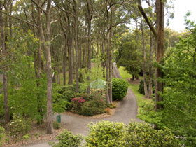 Mount Lofty Botanic Garden - Local Tourism 0