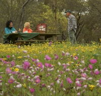 Gwambygine Park - Accommodation Australia