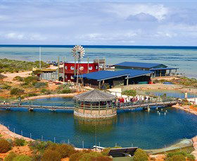 Ocean Park Aquarium - Local Tourism 0