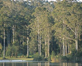 Big Brook Dam - Bed n Breakfasts 0