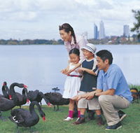 Lake Monger - Local Tourism