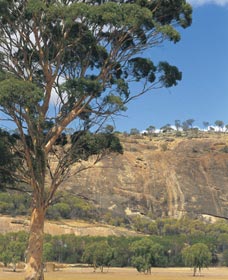 Mount Stirling - Bed n Breakfasts 0