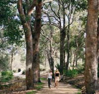 Law Trail and Lotterywest Federation Walkway Kings Park - Local Tourism
