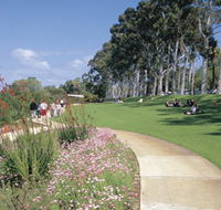 Kings Park Free Guided Walks - Local Tourism