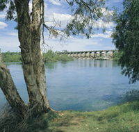 Bandicoot Bar - Accommodation Australia