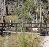 Forest Path Crooked Brook - Local Tourism