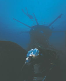 Swan Dive Wreck - Accommodation Australia 0