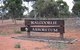 Kalgoorlie Arboretum - thumb 0