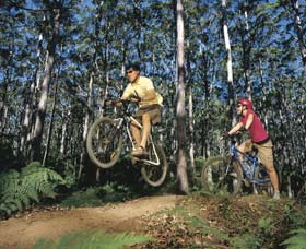 Leeuwin-Naturaliste National Park - Cowaramup - Bed n Breakfasts 0