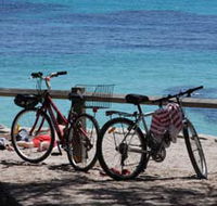 Parker Point Marine Snorkel Trail - Local Tourism