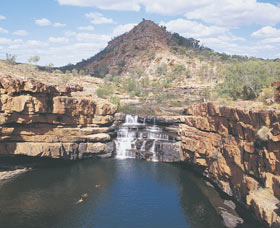 Silent Grove - Australia Shopping 0