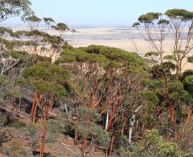 Mount Matilda Walk Trail, Wongan Hills - Local Tourism 0