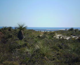 Lesueur National Park - Accommodation Australia 0